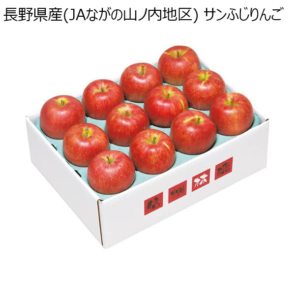 長野県産(JAながの山ノ内地区) サンふじりんご 秀品 Mサイズ 12個 計2.8kg以上 (お届け期間：11 25〜12 31) 