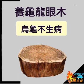 【台灣出貨】天然烏龜曬臺 免煮 龍眼木 烏龜休息臺 龜缸造景擺件 魚缸沉木