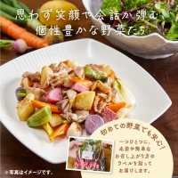 A-229 季節の旬野菜 10品 おまかせセット（農薬・化学肥料不使用）