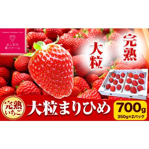 ふるさと納税 和歌山県 岩出市 完熟いちご大粒まりひめ 700g(350g×２パック) よしむら苺ファーム 《12月上旬-4月中旬頃より順次出荷》 和歌山県 岩出市 いち…