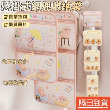 多層卡通掛袋 吊掛式收納袋 懸掛式網兜 壁掛收納袋 網紗收納袋 掛式收納袋 衣物收納袋 襪子收納掛袋 內衣褲收納 掛袋