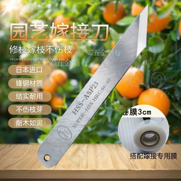 【實惠好用】EVECA鋒鋼嫁接專用刀 嫁接果樹削木特硬耐用園林工具刀 不捲刃手工
