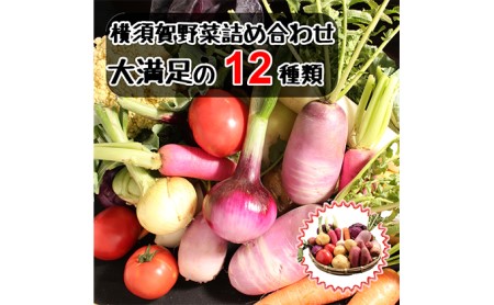 野菜セット 横須賀産 厳選 野菜 12種 詰め合わせ 大満足 セット