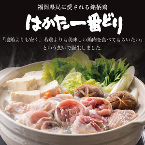 はかた一番どり チキンカツ(30個入り) [a0242] 株式会社 ゼロプラス ※配送不可：離島添田町 ふるさと納税