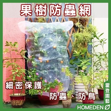 【隔日到貨】果樹防蟲網 蔬菜網 防鳥網 農用菜網 防蟲網罩 果樹防蟲 防果蠅 防黑紋 白紗網【HOMEDEN霍登園藝】
