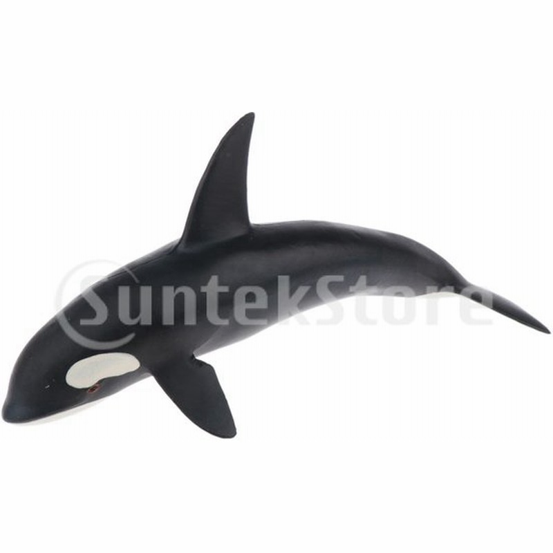 海洋動物おもちゃ クジラ玩具 プラモデル お風呂おもちゃ アクションフィギュアモデル 小道具 通販 Lineポイント最大0 5 Get Lineショッピング