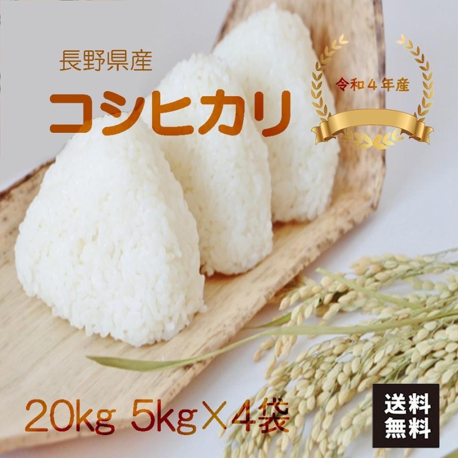 こしひかり 20kg 5kg×4  令和4年産 長野県産 米 お米 白米 おこめ 精米 単一原料米 ブランド米 20キロ 送料無料 国内産 国産