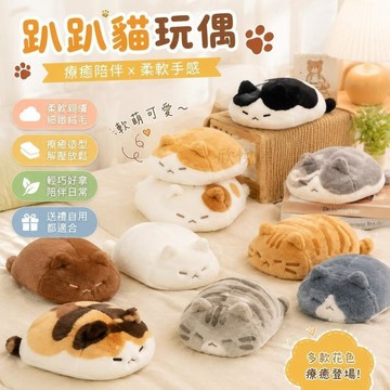 免運上新🎁趴趴貓玩偶 絨毛娃娃 靠枕 貓娃娃 抱枕 療癒小物 暖心禮物 生日禮物 交換禮物 小紅書同款橘子趴趴貓毛絨解