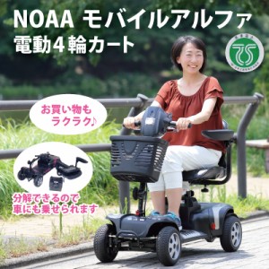 直送品・NOAA モバイルアルファ 電動カート シニアカー WT-T4G シルバーカー 電動4輪カート 電動シニアカー 電動 4輪カート 四輪車  4輪車 | LINEブランドカタログ