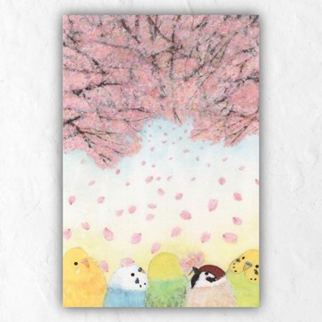 鳥類明信片 E 套組 作家手作 - 內含 13 張