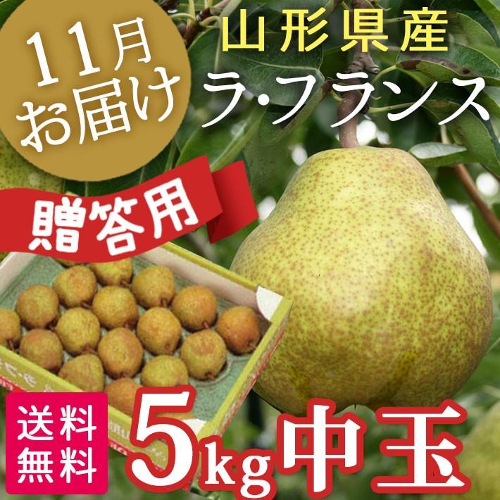 フルーツ ラフランス 山形 5kg 中玉 贈答用 秀2L 送料無料