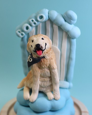 PetWithYou客製化你與你的寵物,給你設計一個獨一無二的惹笑場景