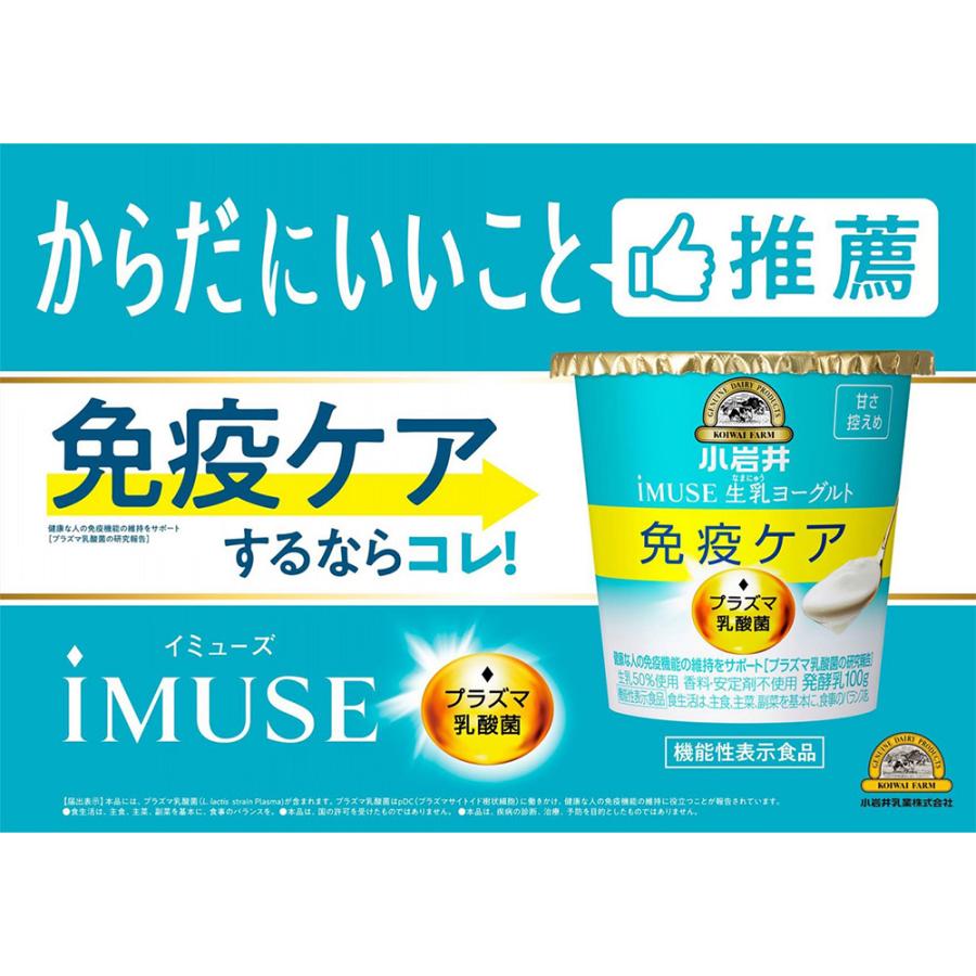 小岩井乳業 iMUSE 生乳(なまにゅう) ヨーグルト甘さ控えめ 100g