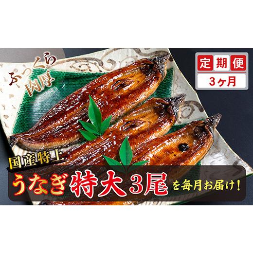 ふるさと納税 福井県 越前市 国産！特上うなぎのかば焼き 約250g × 3尾-