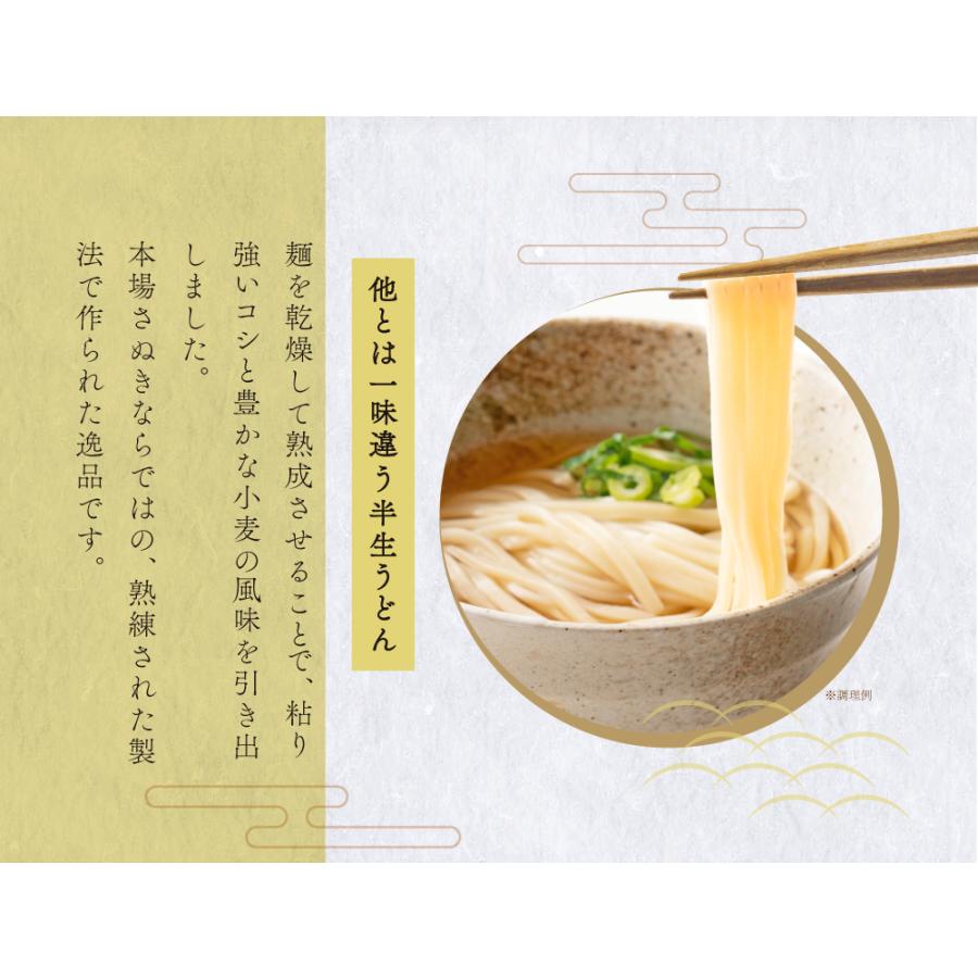 送料無料 半生うどん 9食 （300g×3）麺のみ 讃岐うどん ポイント利用 お試し ポイント消化 ご当地グルメ 食品 産直 おすすめ ポイント消費 食品 お取寄せ 香川