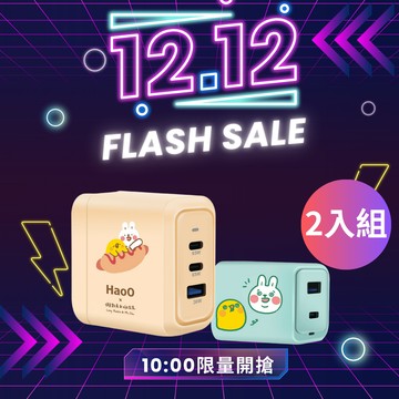 【12/12 10:00 限量開搶】HaoO 懶散兔聯名 35W雙孔+65W三孔 氮化鎵電源供應器 兩入組