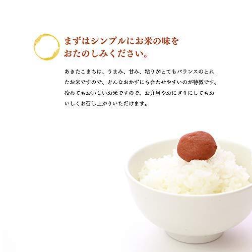 秋田県湯沢市産 小野小町の郷 特別栽培米 あきたこまち 令和3年産 つきたて白米 2kg