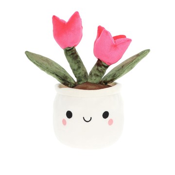 Keel Flower Bobballs Tulip 鬱金香盆栽30cm