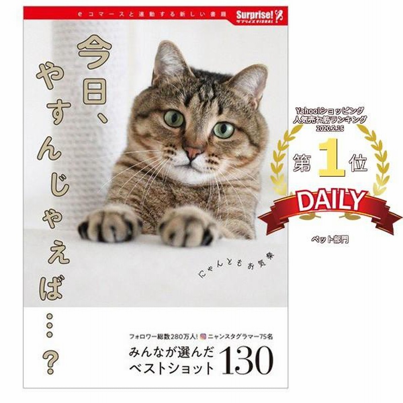 今日、やすんじゃえば…？ サプライズBOOK ネコ 猫 写真 本 書籍