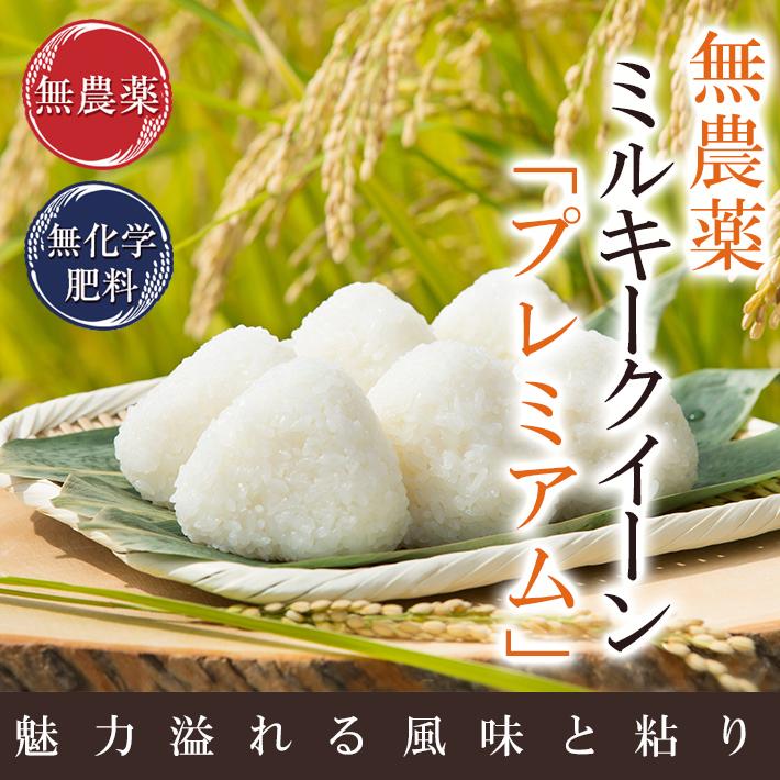 無農薬 玄米 米 10kg(5kg×2）無農薬 ミルキークイーン プレミアム 令和5年福井県産 新米入荷 送料無料 無農薬・無化学肥料栽培