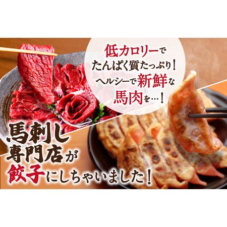 ふるさと納税 熊本 馬刺し 専門店のさくら馬肉 餃子 80個 国産 冷凍 熊本県人吉市