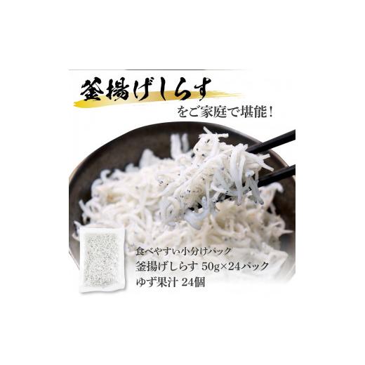 ふるさと納税 高知県 芸西村 高知県産釜揚げしらす 50g×24パック 簡易梱包 小分け 国産 釜揚げ シラス丼 海鮮丼 ゆず付 お茶漬け 軍艦巻き 手巻き寿司 24人前…