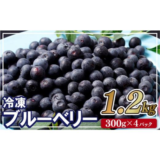 ふるさと納税 長崎県 佐世保市 C152 冷凍ブルーベリー「あいあいの雫」1,200g