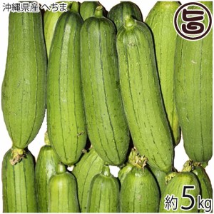 沖縄県産 へちま ナーベラー 5kg 沖縄 お取り寄せ 野菜 食用ヘチマ