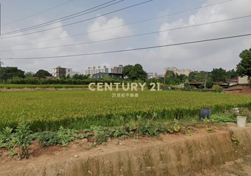 平鎮三興路都內農｜桃園市平鎮區福林段