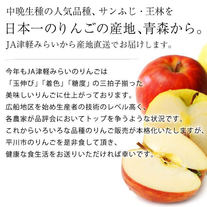 りんご 青森県産 サンふじ 王林 MIX 特A 約3kg 9〜12玉