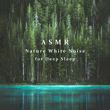 白噪音睡眠 自然絮語 深眠島嶼 | 舒緩焦慮放松心靈解壓音樂CD碟