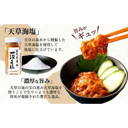 ふるさと納税 天草産ムラサキウニだらけ　豪華3本セット　(一汐低塩仕込み 60g) 熊本県上天草市