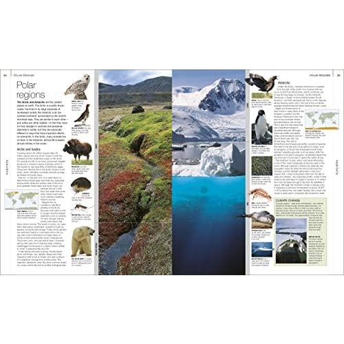 Animal: The Definitive Visual Guide (DK Definitive Visual Encyclopedias)