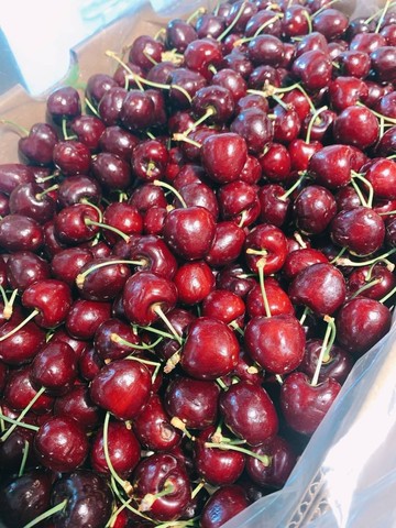 【帕查嬤嬤】???? 智利 甜櫻桃 500g透明盒裝｜智利進口櫻桃