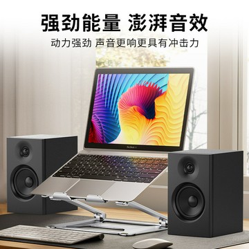 新款跨境有源藍牙音箱HIFI大功率監聽級家用客廳桌面書架電腦音響【Snowbelle優選】