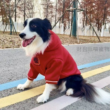 💕在臺出貨🔥大狗過年喜慶衣服秋冬款加絨加厚金毛紅色拉布拉多德牧中大型犬