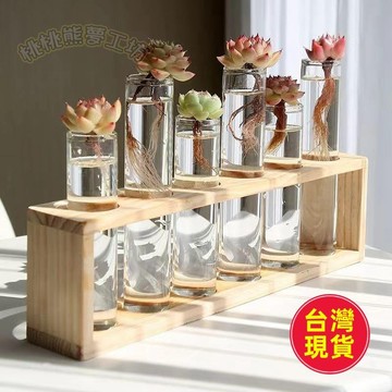 【核心賣點】水培器皿 水培花瓶 水養植物 芬頓花瓶 試管花瓶 水培花器 水培玻璃瓶 水植物容器 植物 水培植物 水培瓶