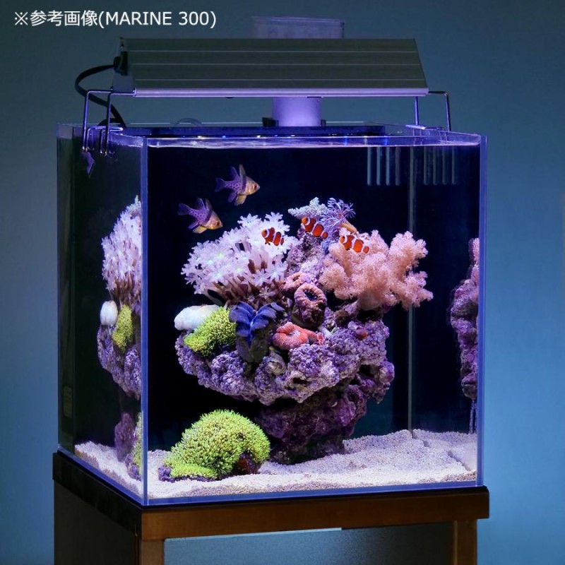 アクロ ＴＲＩＡＮＧＬＥ ＬＥＤ ＭＡＲＩＮＥ ４５０ ２００００Ｋ