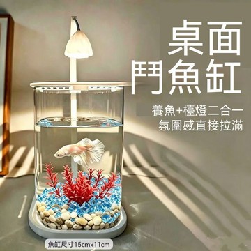 🔥夯貨🏆網紅鬥魚小魚缸冰晶石松玉石桌面創意生態鬥魚缸景觀缸裝飾造景