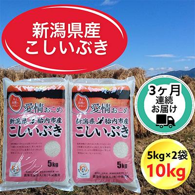 ふるさと納税 胎内市 新潟県胎内市産こしいぶき10kg(5kg×2袋)全3回