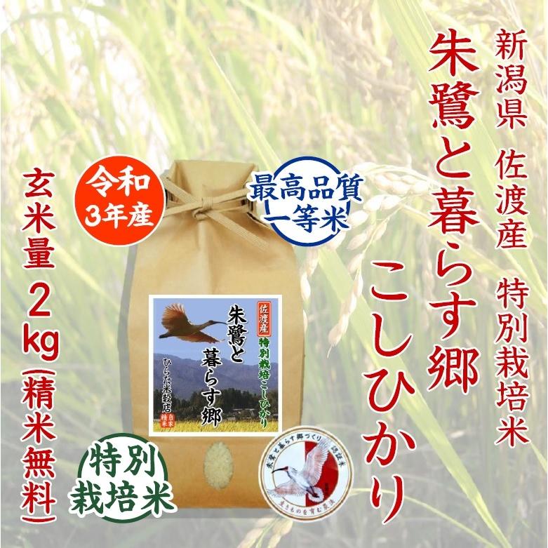 朱鷺と暮らす郷こしひかり 玄米量2kg 令和3年産