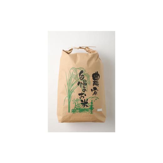 ふるさと納税 熊本県 水上村 水上村のお米 ヒノヒカリ 10kg入り 精米 米