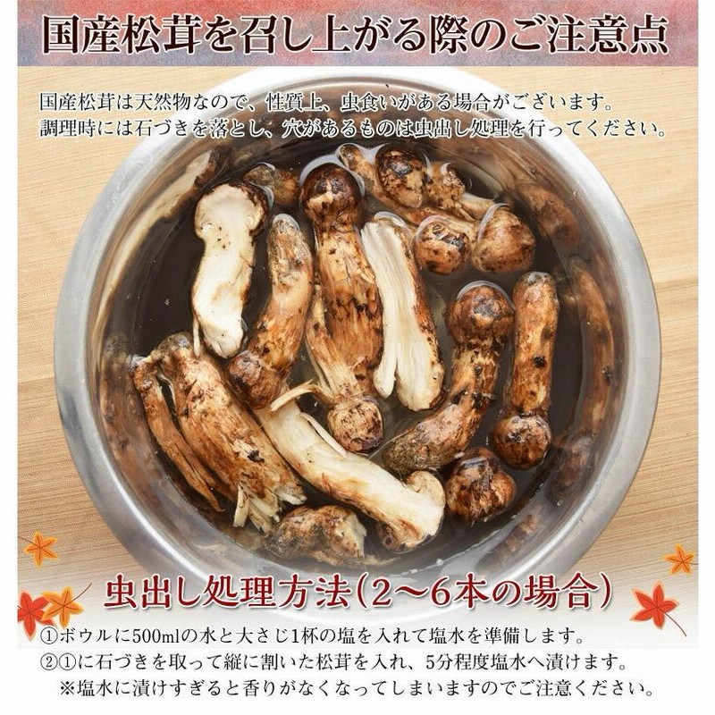 北海道　松茸　300g ② 北海道 松茸 300g ② 起つ