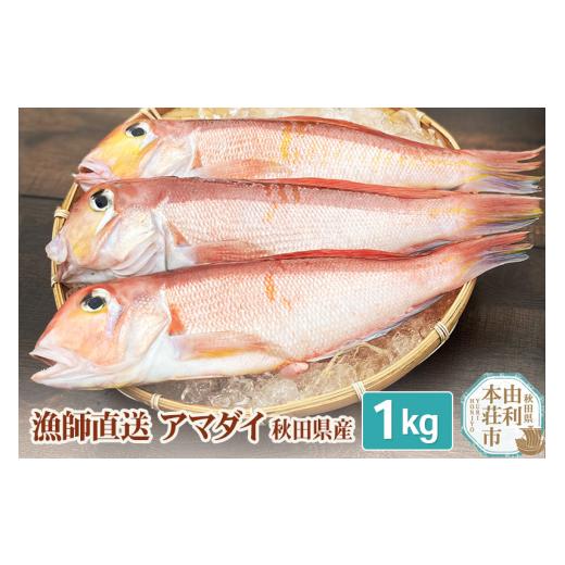 ふるさと納税 秋田県 由利本荘市 漁師直送 甘鯛 (あまだい)  秋田県産 1kg (配送期間 5月〜10月末予定、期間外は次期予約扱い)