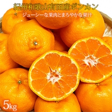 紀州和歌山産旬の柑橘セット(ポンカン・清見・なつみ・甘夏)全4回