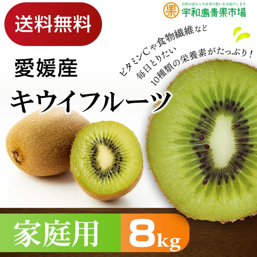 愛媛産　キウイフルーツ　8kg　家庭用　送料無料