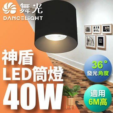 【DanceLight 舞光】40W 神盾 LED筒燈 壓鑄鋁散熱快 全電壓 一體成形 時尚白/貴族黑 2年保固(白光/黃光/自然光)【APP滿額下單10%點數(單一帳號最高5000點)】1/31止