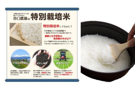 令和5年産 あやひめ2kg白米2袋・玄米1袋