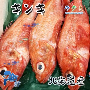 新鮮 キンキ 1kg（約２～４尾）北海道産 きんき きちぎ 高級魚 塩焼き 唐揚げ 刺身