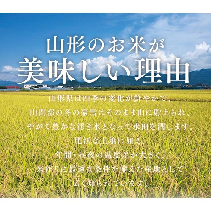 令和5年産 山形県産ブランド米 つや姫 10kg（5kg×2） お米 ご飯 おにぎり 白米 庄内米